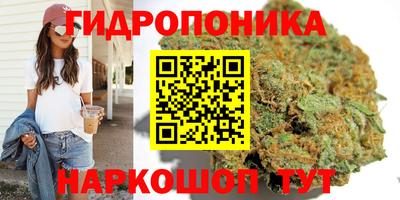 гашик Ликино-Дулёво