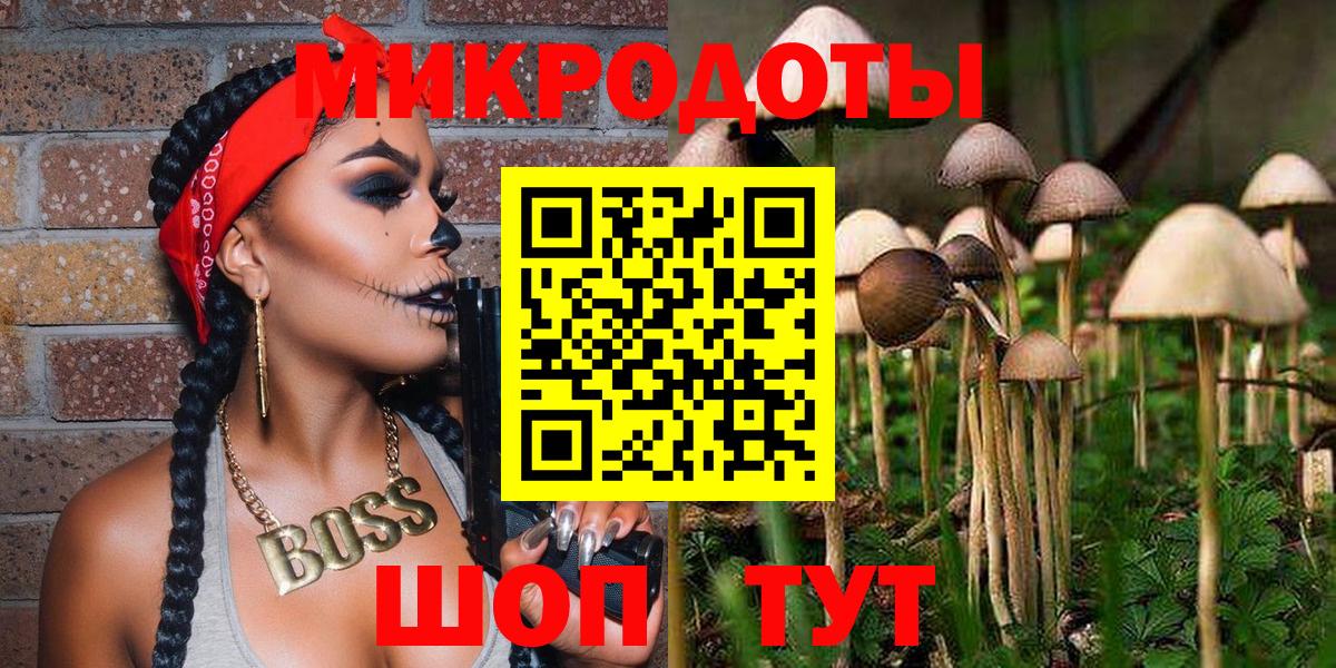 Галлюциногенные грибы прущие грибы  Вход с VPN  Домодедово 